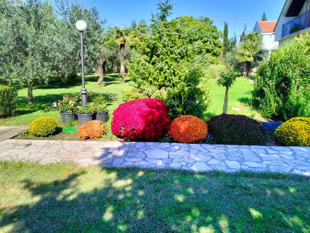 Olive Apartment Podgorica Exteriér fotografie