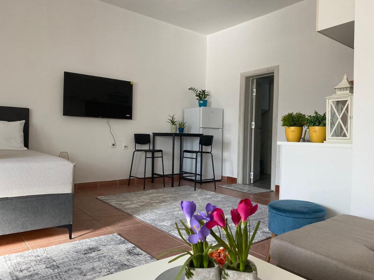 Olive Apartment Podgorica Exteriér fotografie