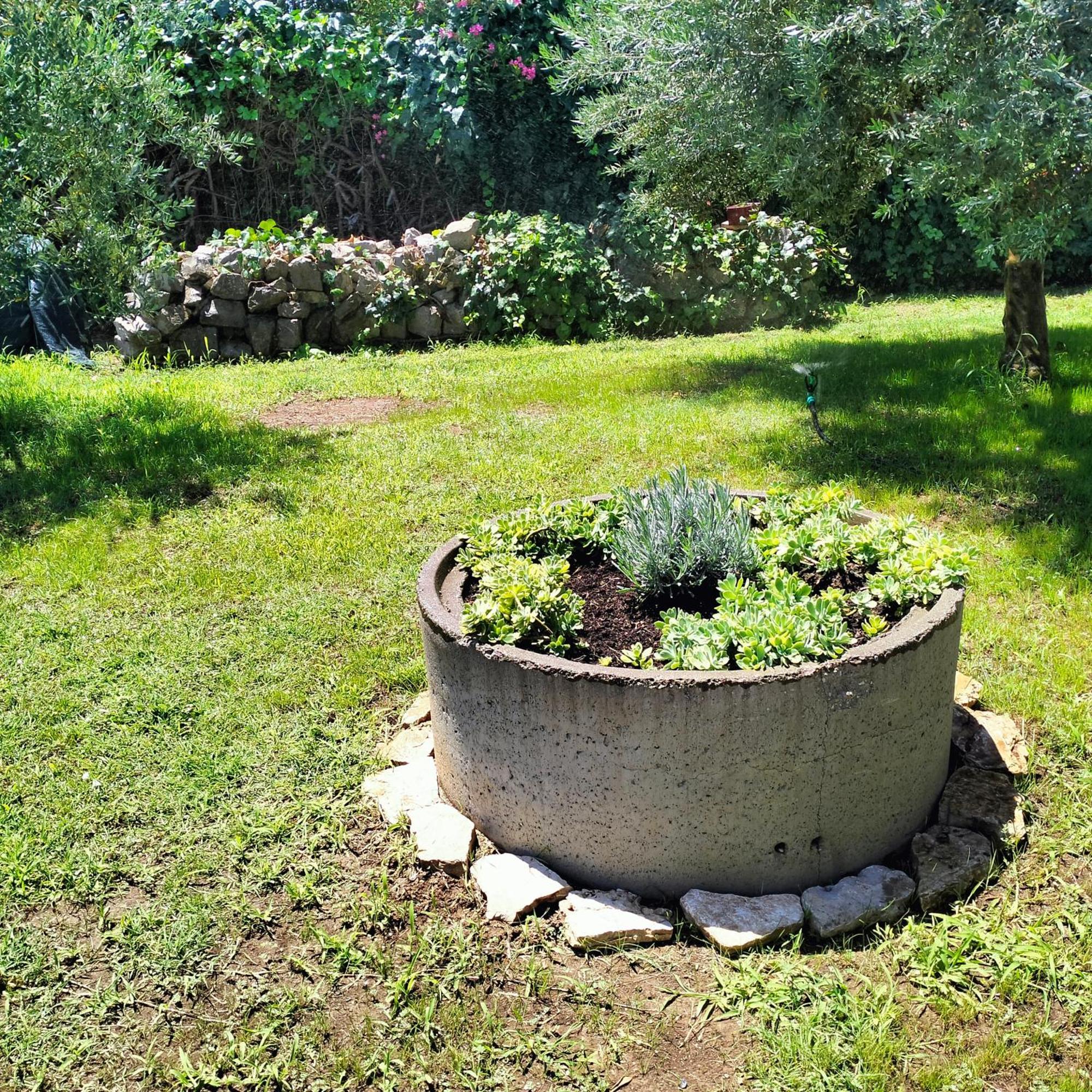 Olive Apartment Podgorica Exteriér fotografie
