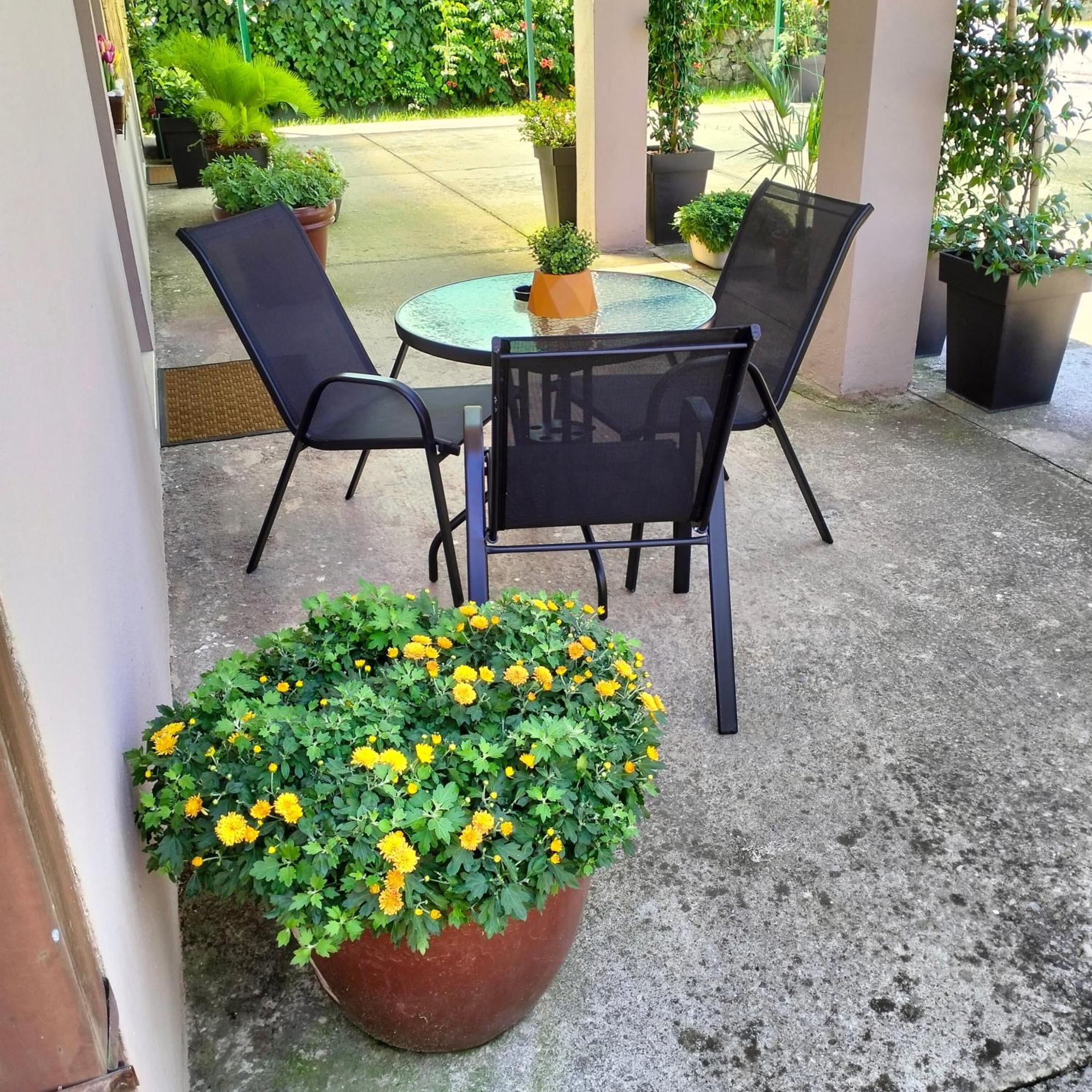 Olive Apartment Podgorica Exteriér fotografie