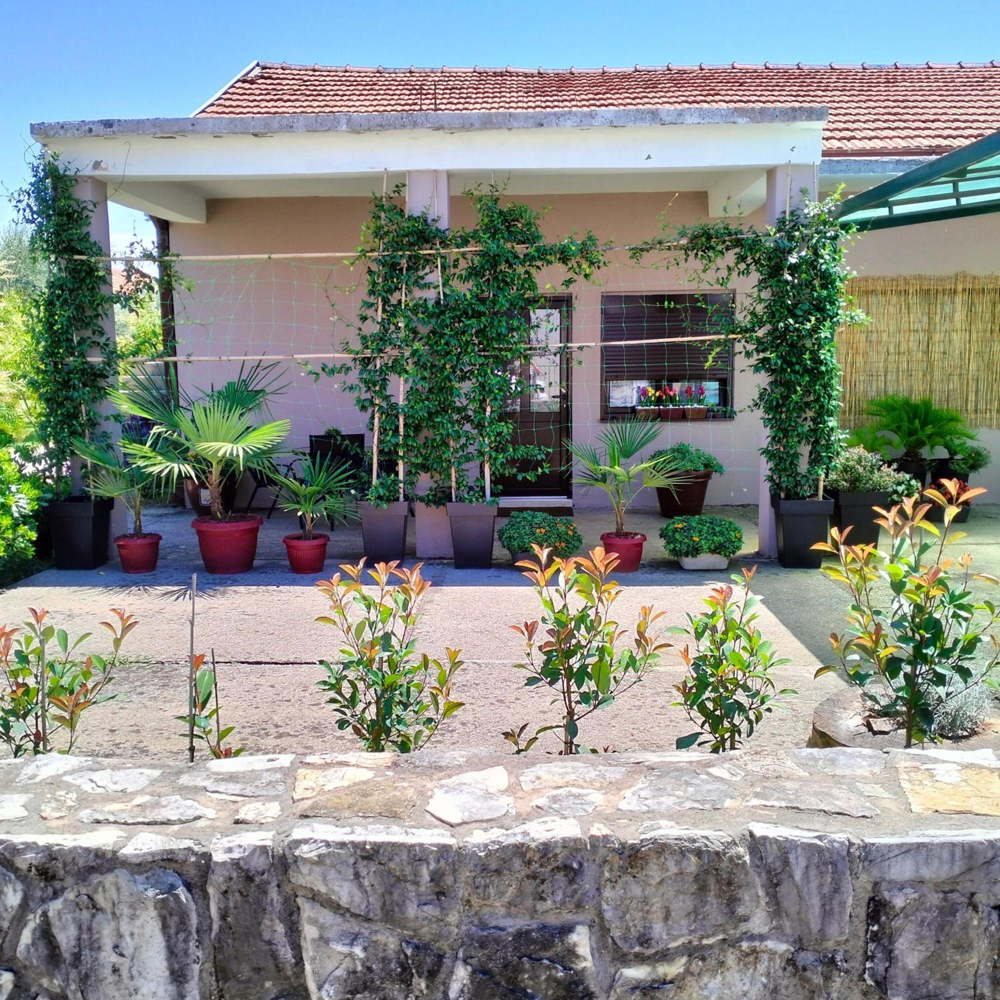 Olive Apartment Podgorica Exteriér fotografie