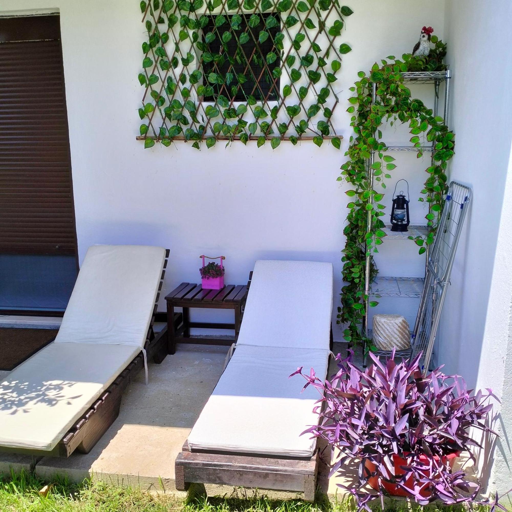 Olive Apartment Podgorica Exteriér fotografie