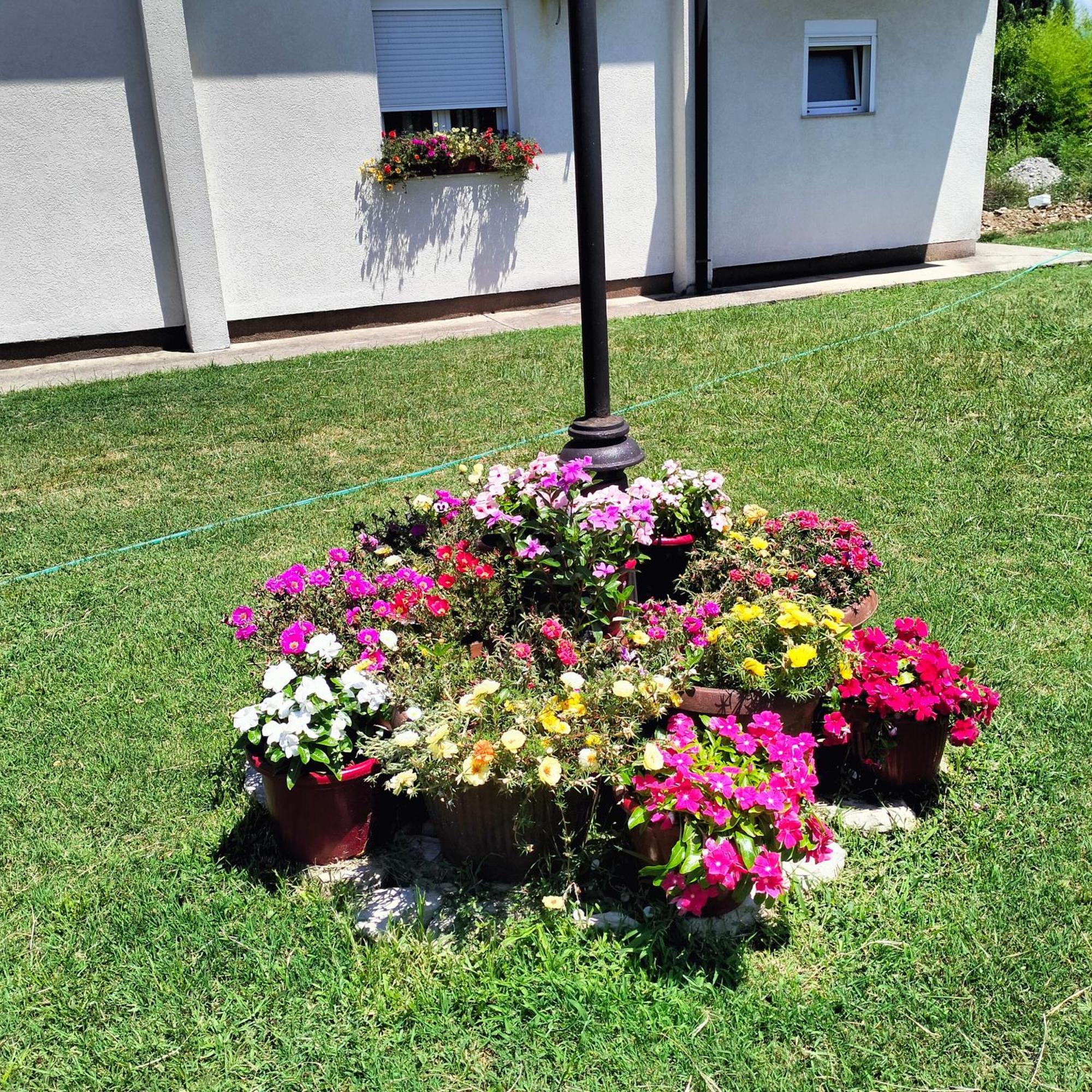 Olive Apartment Podgorica Exteriér fotografie