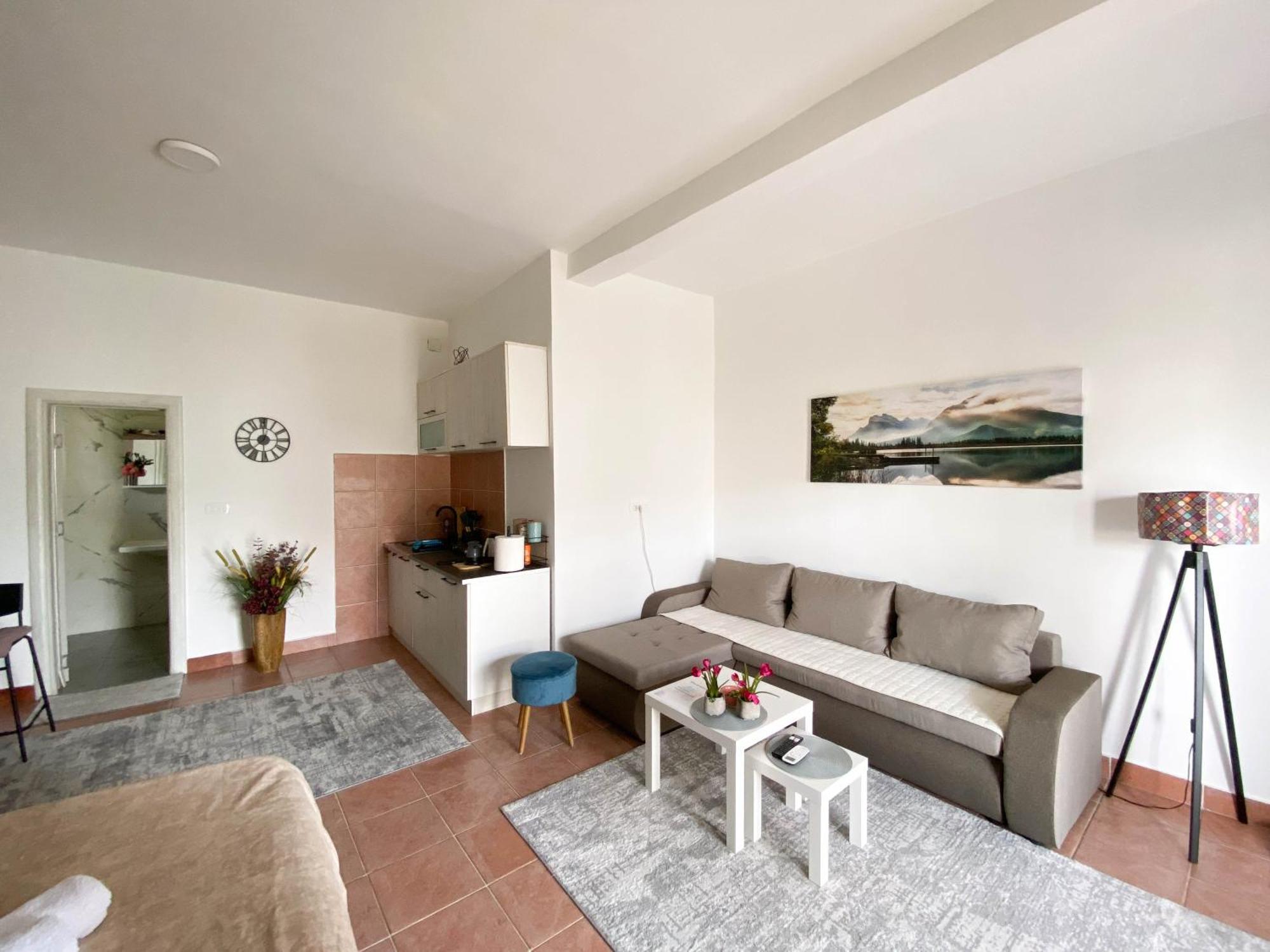Olive Apartment Podgorica Exteriér fotografie